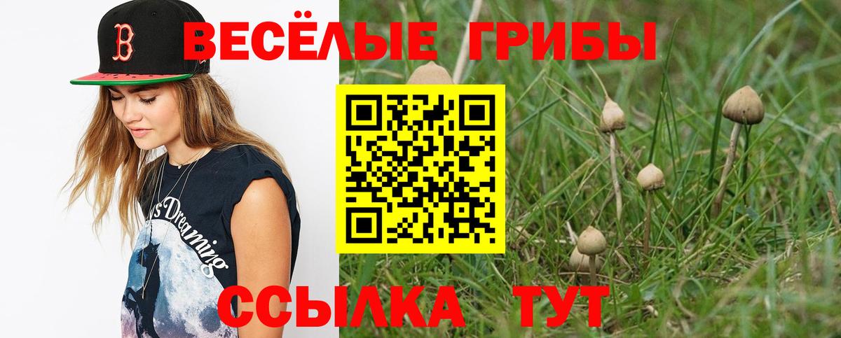 Псилоцибиновые грибы Psilocybine cubensis  сколько стоит  Урай  Вход с VPN 